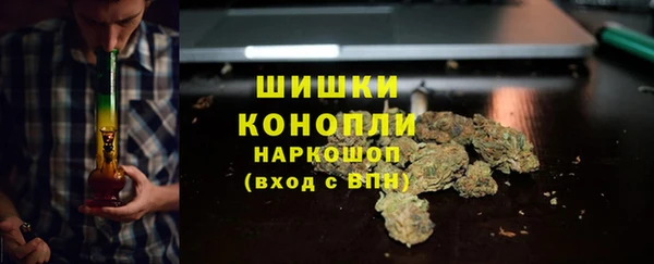 ECSTASY Заводоуковск